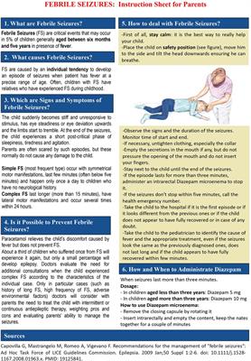 The non-clinical burden of febrile seizures: a systematic review